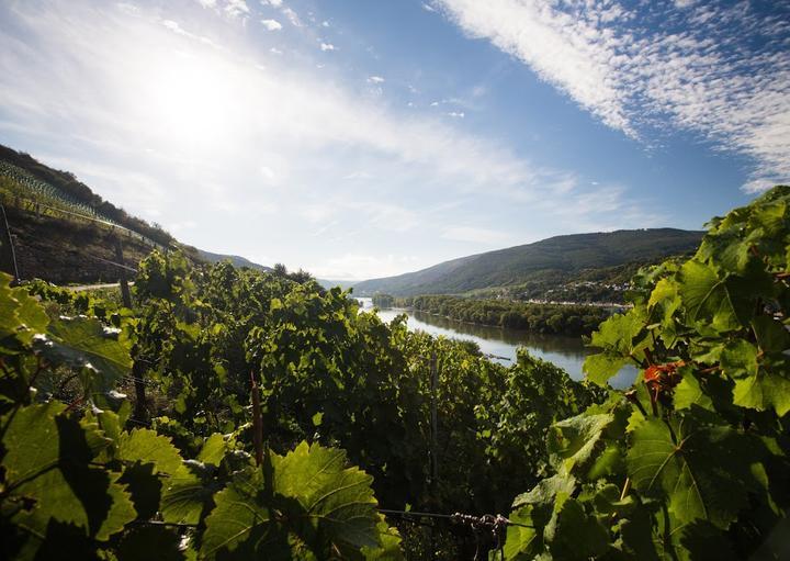 Strausswirtschaft Weingut Mohr